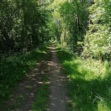 Neu! Sylt * Taarstedt