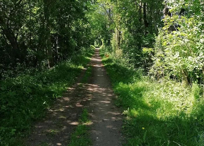 Neu! Sylt * Taarstedt